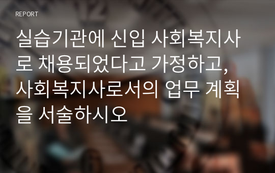 실습기관에 신입 사회복지사로 채용되었다고 가정하고, 사회복지사로서의 업무 계획을 서술하시오