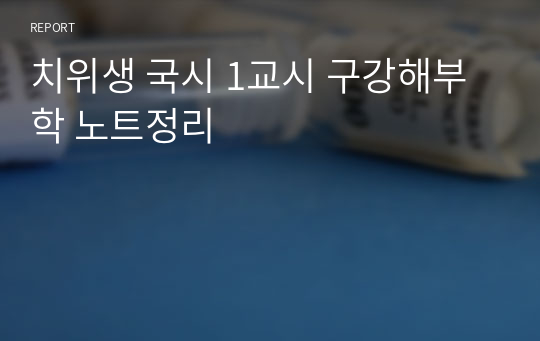 치위생 국시 1교시 구강해부학 노트정리