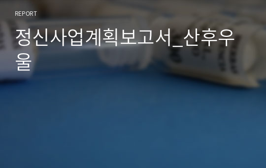 정신사업계획보고서_산후우울