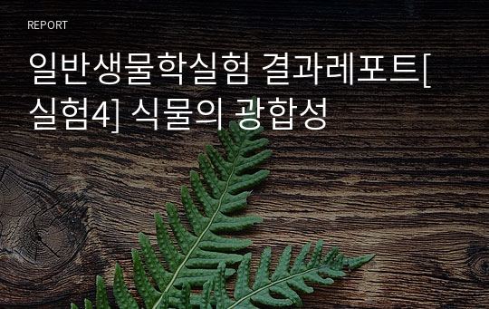 일반생물학실험 결과레포트[실험4] 식물의 광합성