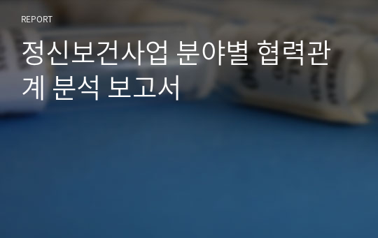 정신보건사업 분야별 협력관계 분석 보고서