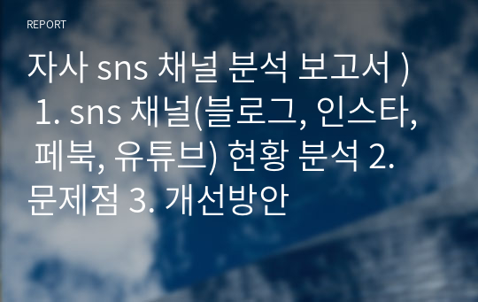 자사 sns 채널 분석 보고서 ) 1. sns 채널(블로그, 인스타, 페북, 유튜브) 현황 분석 2. 문제점 3. 개선방안