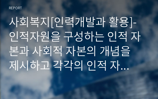 사회복지[인력개발과 활용]-인적자원을 구성하는 인적 자본과 사회적 자본의 개념을 제시하고 각각의 인적 자본과 사회적 자본을 확보하기 위한 방안을 제시하라.