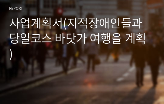 사업계획서(지적장애인들과 당일코스 바닷가 여행을 계획)