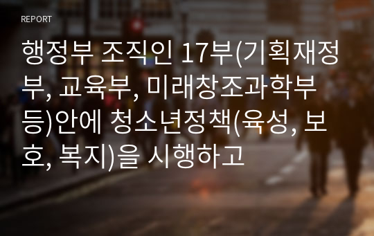 행정부 조직인 17부(기획재정부, 교육부, 미래창조과학부 등)안에 청소년정책(육성, 보호, 복지)을 시행하고