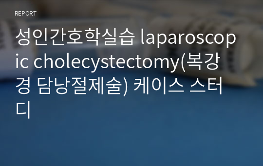 성인간호학실습 laparoscopic cholecystectomy(복강경 담낭절제술) 케이스 스터디