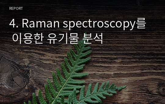 4. Raman spectroscopy를 이용한 유기물 분석