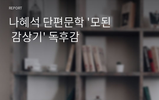 나혜석 단편문학 &#039;모된 감상기&#039; 독후감