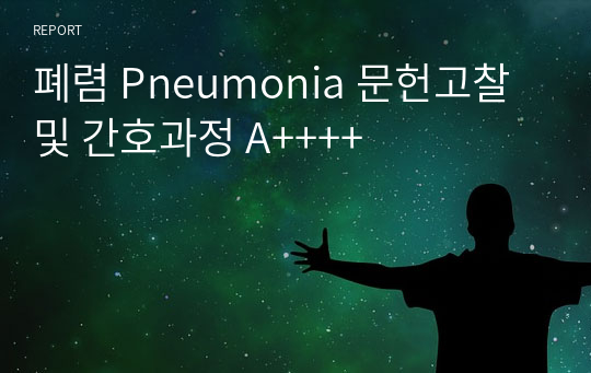 폐렴 Pneumonia 문헌고찰 및 간호과정 A++++