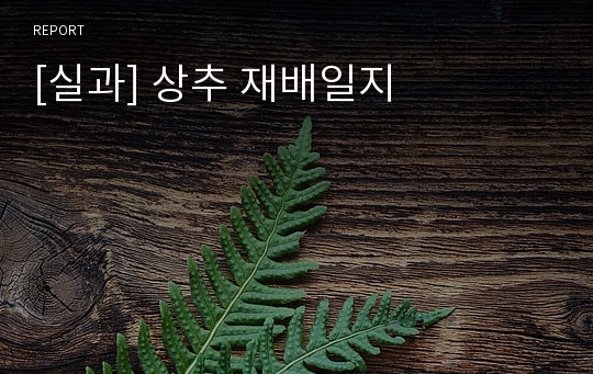 [실과] 상추 재배일지