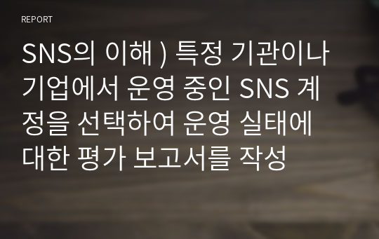 SNS의 이해 ) 특정 기관이나 기업에서 운영 중인 SNS 계정을 선택하여 운영 실태에 대한 평가 보고서를 작성