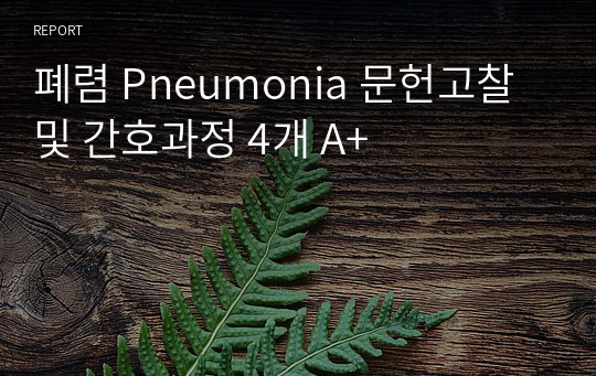폐렴 Pneumonia 문헌고찰 및 간호과정 4개 A+