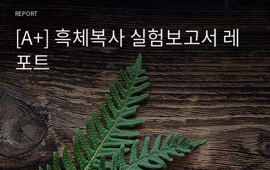 [A+] 흑체복사 실험보고서 레포트