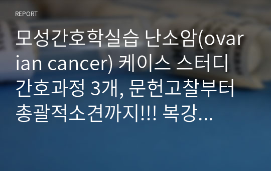 모성간호학실습 난소암(ovarian cancer) 케이스 스터디 간호과정 3개, 문헌고찰부터 총괄적소견까지!!! 복강경하 난소난관 절제술, 자궁적출술 대상자 케이스