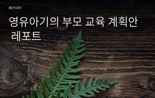 영유아기의 부모 교육 계획안 레포트