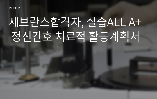 세브란스합격자, 실습ALL A+ 정신간호 치료적 활동계획서