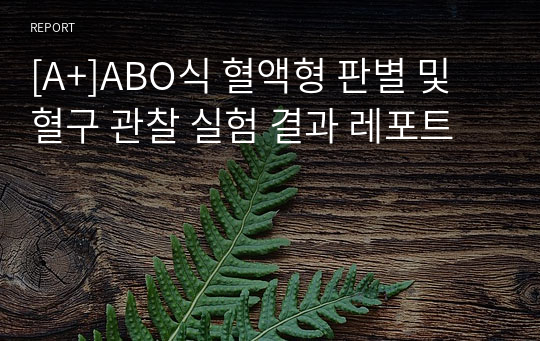 [A+]ABO식 혈액형 판별 및 혈구 관찰 실험 결과 레포트