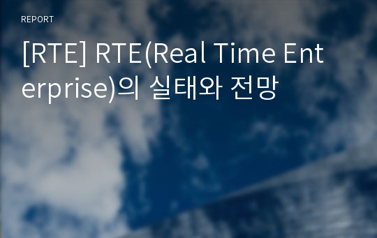 [RTE] RTE(Real Time Enterprise)의 실태와 전망