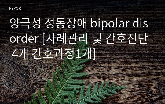 양극성 정동장애 bipolar disorder [사례관리 및 간호진단 4개 간호과정1개]
