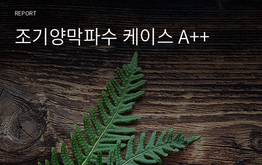 조기양막파수 케이스 A++