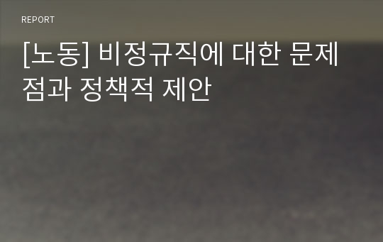 [노동] 비정규직에 대한 문제점과 정책적 제안