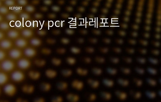 colony pcr 결과레포트