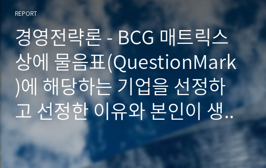 경영전략론 - BCG 매트릭스 상에 물음표(QuestionMark)에 해당하는 기업을 선정하고 선정한 이유와 본인이 생각하는 전략대안을 서술하시오