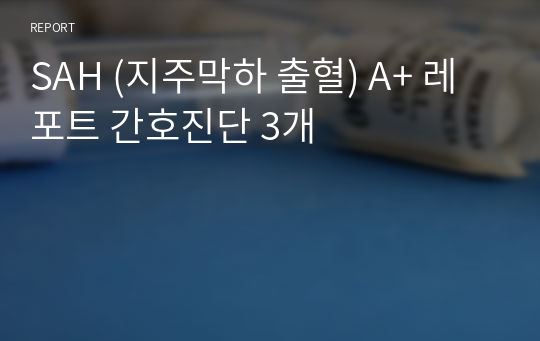 SAH (지주막하 출혈) A+ 레포트 간호진단 3개