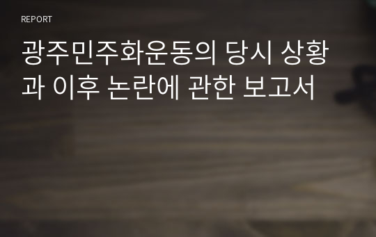 광주민주화운동의 당시 상황과 이후 논란에 관한 보고서