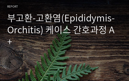 부고환-고환염(Epididymis-Orchitis) 케이스 간호과정 A+