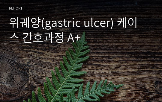 위궤양(gastric ulcer) 케이스 간호과정 A+