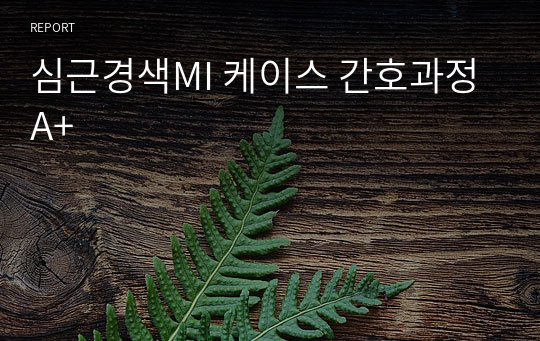 심근경색MI 케이스 간호과정 A+