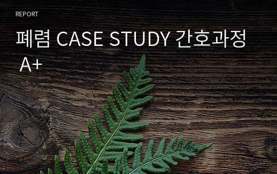 폐렴 CASE STUDY 간호과정 A+