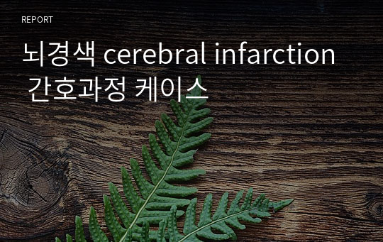 뇌경색 cerebral infarction 간호과정 케이스