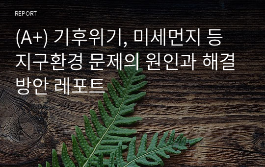 (A+) 기후위기, 미세먼지 등 지구환경 문제의 원인과 해결방안 레포트