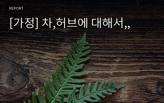 [가정] 차,허브에 대해서,,