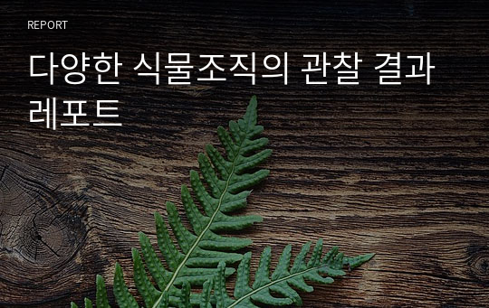 다양한 식물조직의 관찰 결과레포트