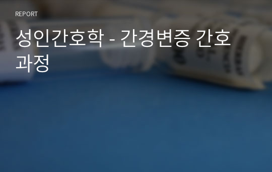 성인간호학 - 간경변증 간호과정