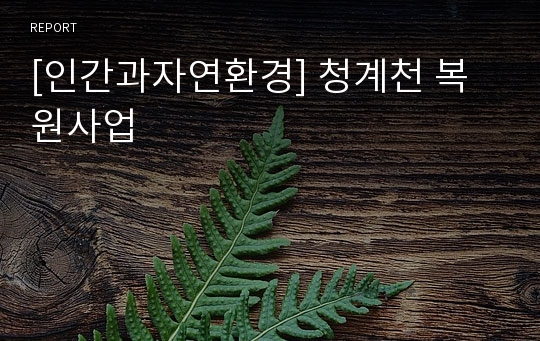 [인간과자연환경] 청계천 복원사업