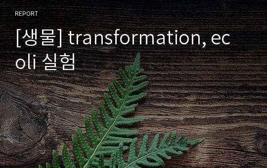 [생물] transformation, ecoli 실험