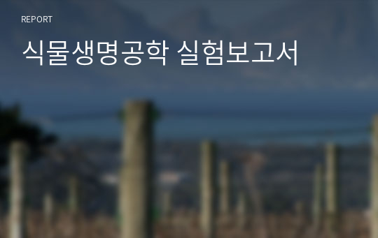 식물생명공학 실험보고서