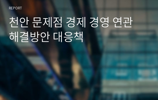 천안 문제점 경제 경영 연관 해결방안 대응책