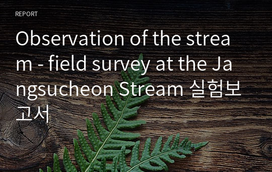 Observation of the stream - field survey at the Jangsucheon Stream 실험보고서