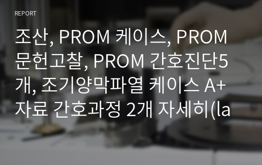 조산, PROM 케이스, PROM 문헌고찰, PROM 간호진단5개, 조기양막파열 케이스 A+자료 간호과정 2개 자세히(lab, 약물 포함)