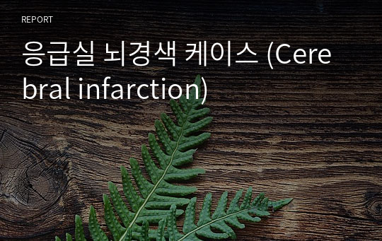 응급실 뇌경색 케이스 (Cerebral infarction)