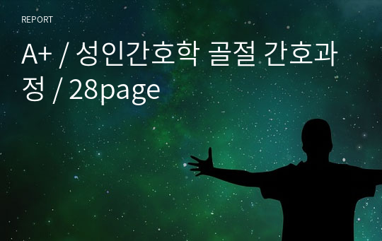 A+ / 성인간호학 골절 간호과정 / 28page