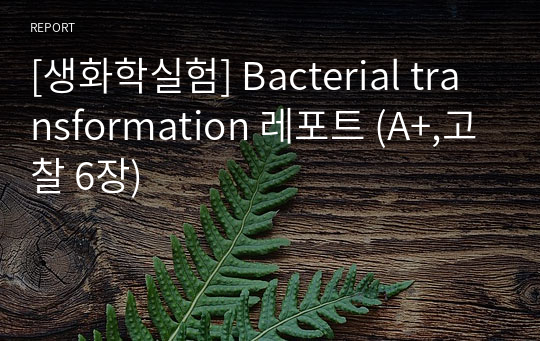 [생화학실험] Bacterial transformation 레포트 (A+,고찰 6장)