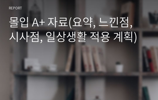 몰입 A+ 자료(요약, 느낀점, 시사점, 일상생활 적용 계획)