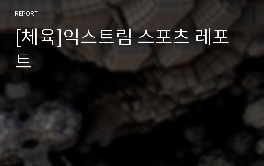 [체육]익스트림 스포츠 레포트