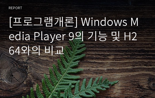 [프로그램개론] Windows Media Player 9의 기능 및 H264와의 비교